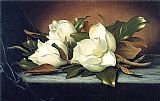 Giant Magnolias by Martin Johnson Heade